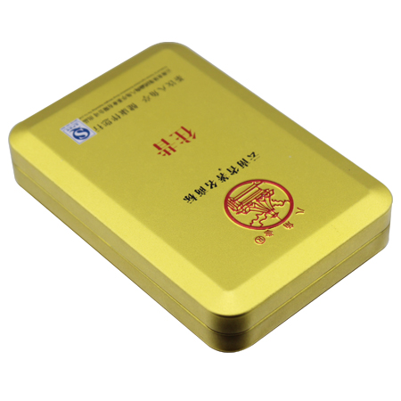 hinged small tin case