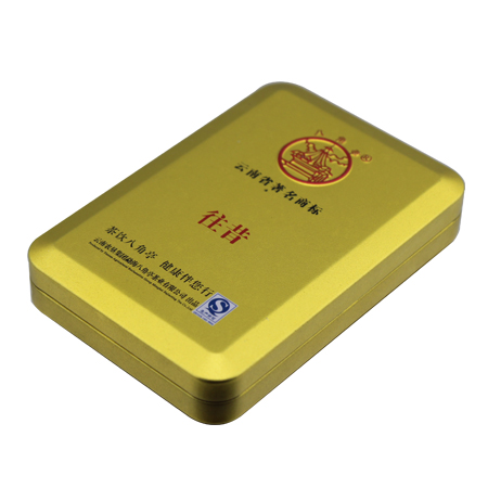 hinged small tin case