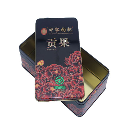 rectangle dried fruit can