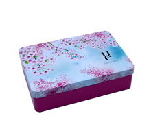 Custom Rectangular Underwear Tin Box