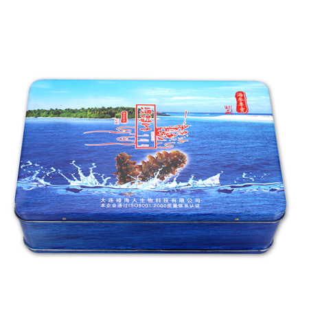 Big Size Food Packaging Rectangular Metal Box