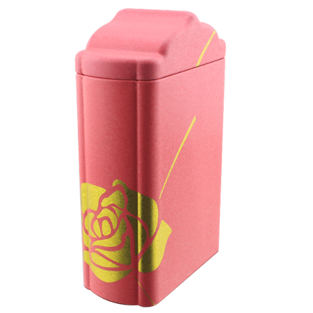 Latas de diseño tejado de zinc