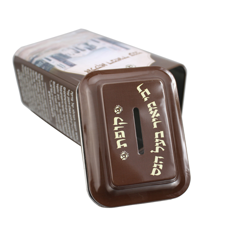 moneda de estaño dinero puede